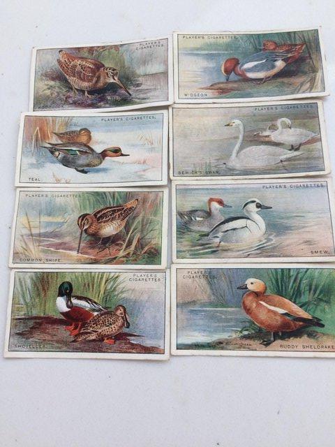 Image 2 of Large collection of cigarette cards