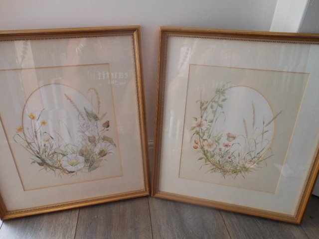 Preview of the first image of Water Colours Framed Flowers - Butterfly & Ladybird x 2.