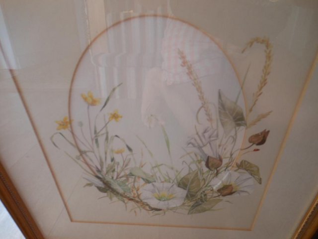 Image 3 of Water Colours Framed Flowers - Butterfly & Ladybird x 2