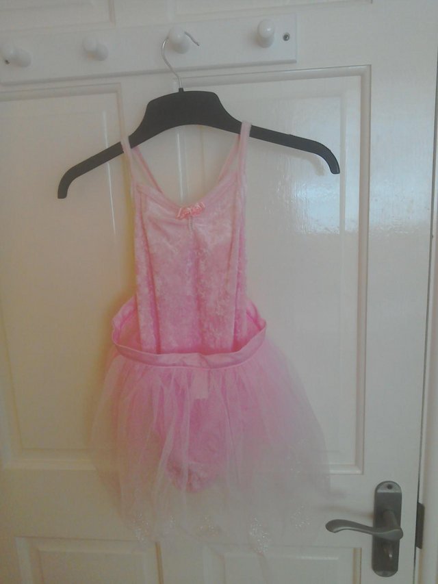 Preview of the first image of Pink ballet leotard and net skirt.