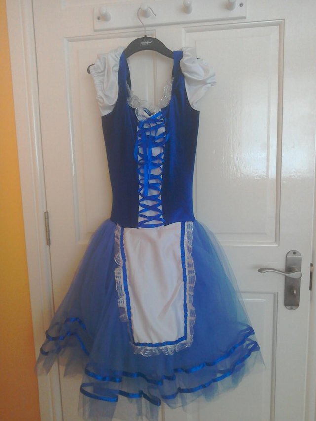 Preview of the first image of Blue leotard/dress with net tutu.