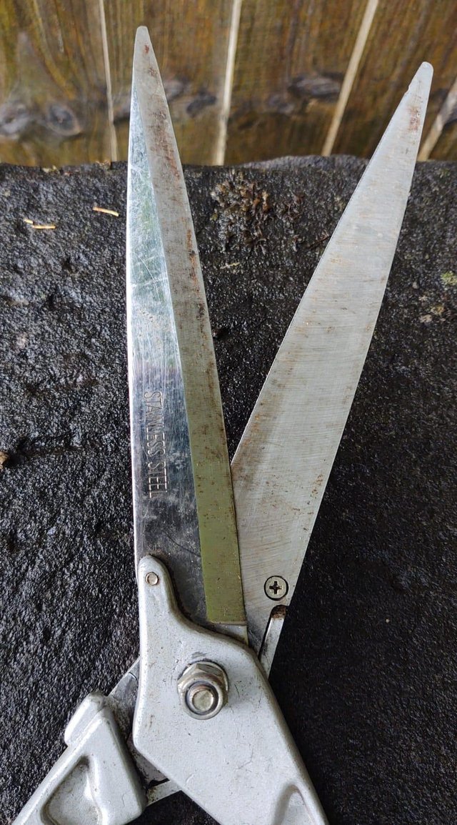 Preview of the first image of Pair Of Unbranded Vintage Long Shears.