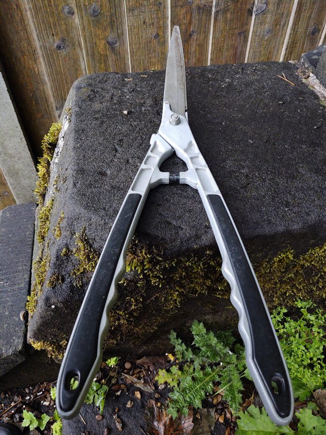 Image 3 of Pair Of Unbranded Vintage Long Shears