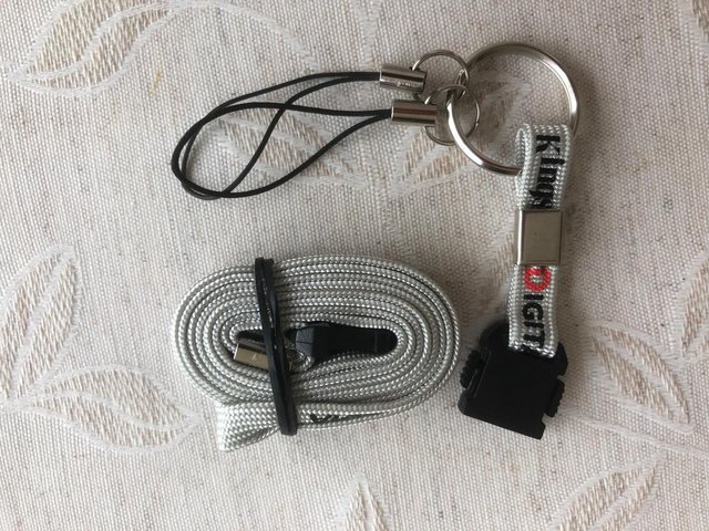 Preview of the first image of Kingston Digital Media lanyard for holding IDs, USB sticks.
