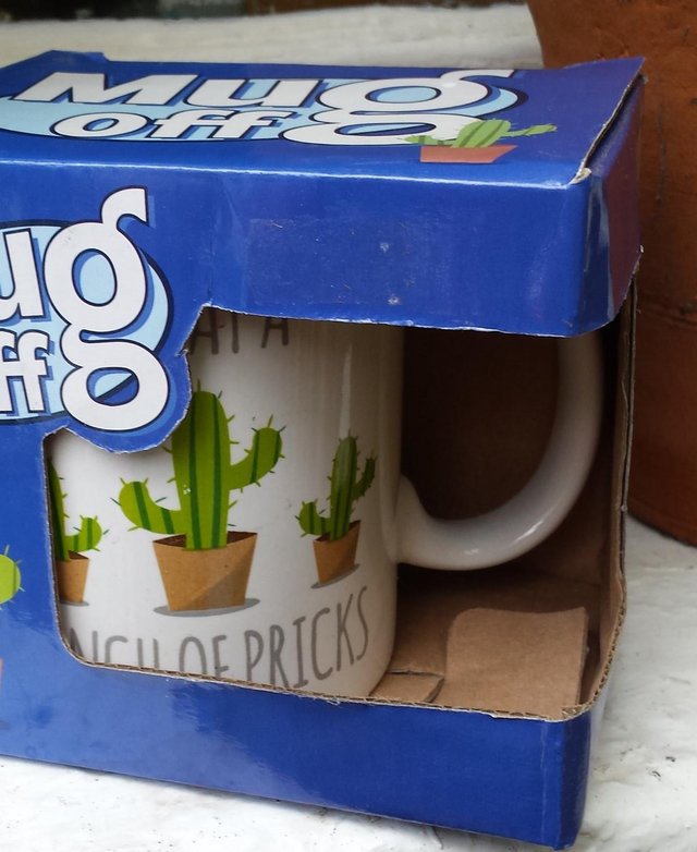 Image 2 of Quirky Cactus Mug for a Cactus Grower/Gardener!