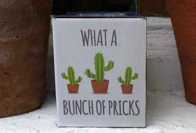 Image 9 of Quirky Cactus Mug for a Cactus Grower/Gardener!