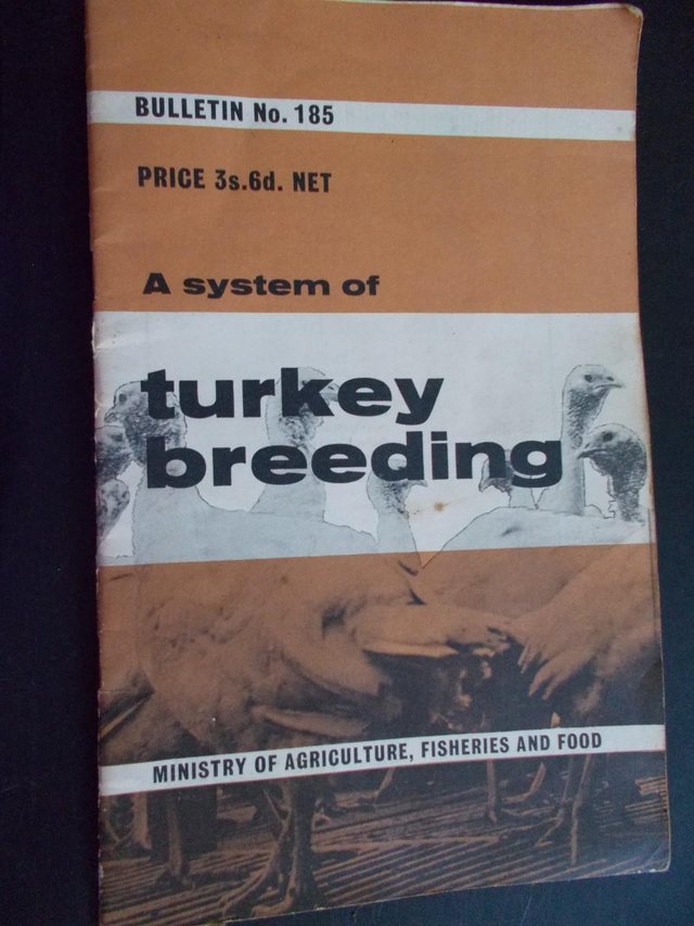 Preview of the first image of Turkey Breeding Bulletin 1962 Turkey Breeding No 185,.