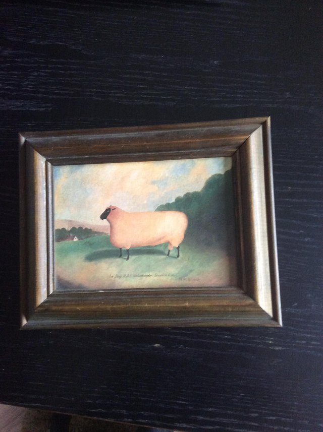 Image 3 of Small picture of a sheep in wooden frame