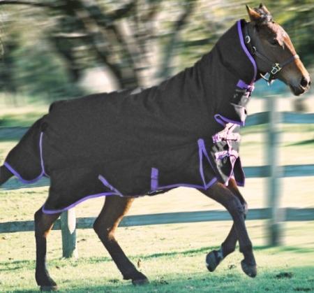 Preview of the first image of BNIB Jumpers Horse Line Ultimate Combo MW rug size 6'3.