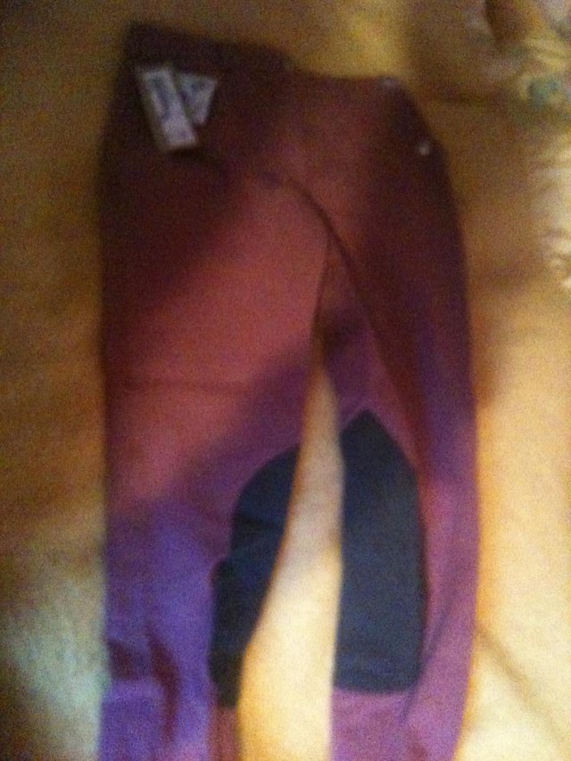 Preview of the first image of BNWOT Joules breeches in plum. size 10.
