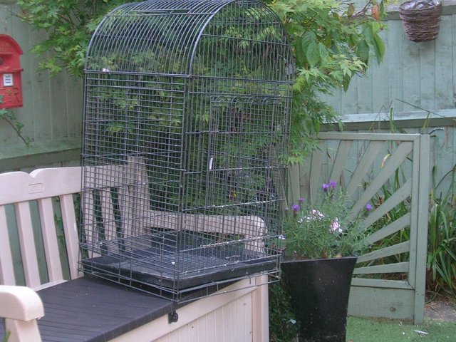 Preview of the first image of Parrot cage was used to house budgies but is a parrot cage...