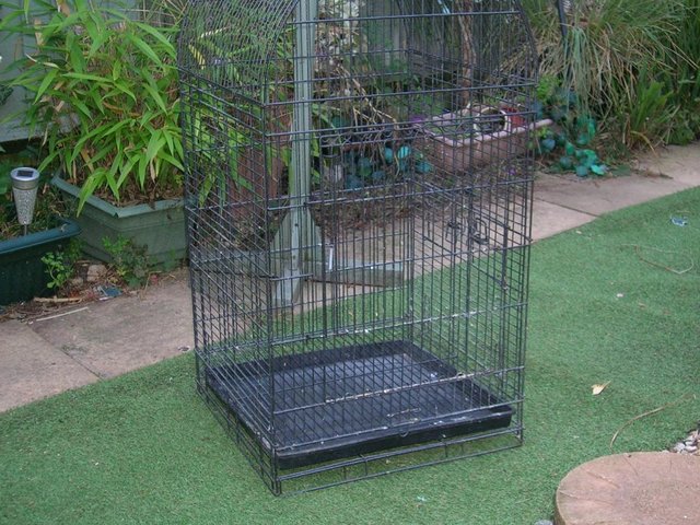 Image 2 of Parrot cage was used to house budgies but is a parrot cage..