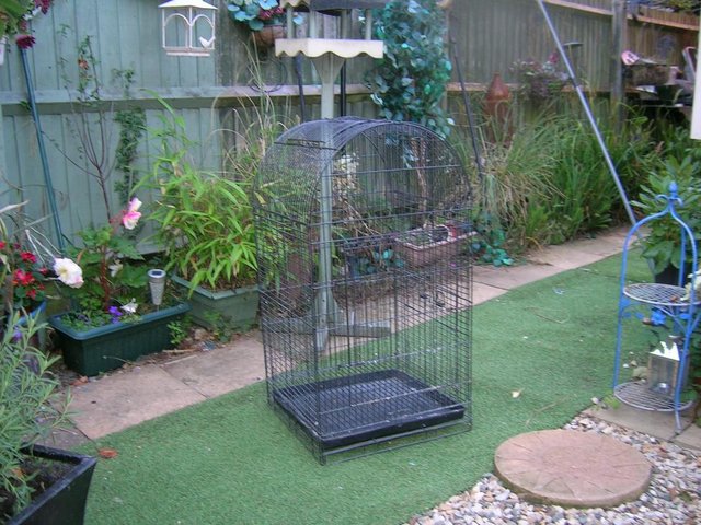 Image 4 of Parrot cage was used to house budgies but is a parrot cage..