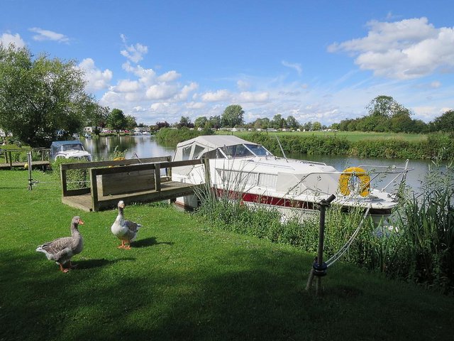 Image 13 of 2020 Swift Bordeaux For Sale on River View Pitch Oxfordshire