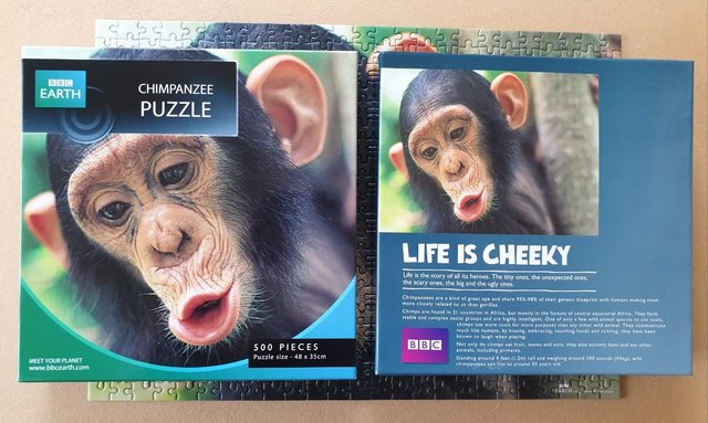 Image 3 of 500 piece JIGSAW by BBC EARTH called CHIMPANZEE. ONLY BEEN D