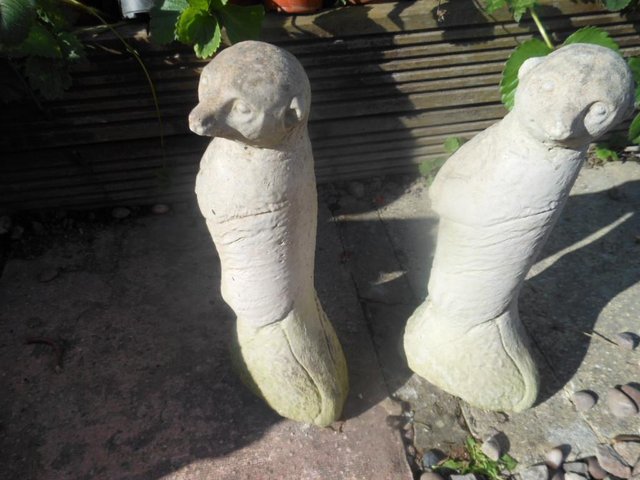 Image 3 of Meerkat PAIR 12 Inches Tall Garden Ornaments