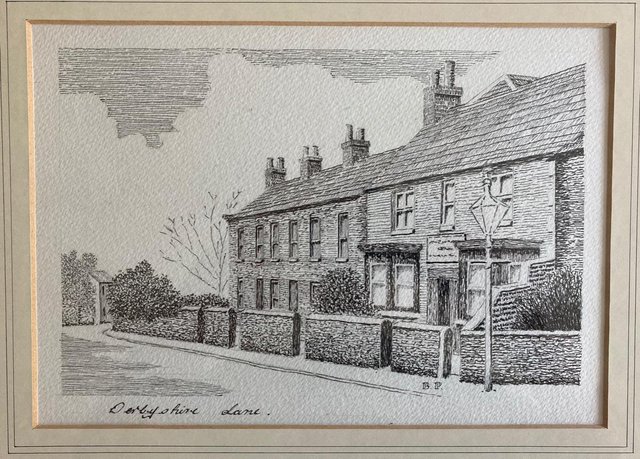 Image 3 of Pen & Ink Illustration of Derbyshire Lane, Sheffield