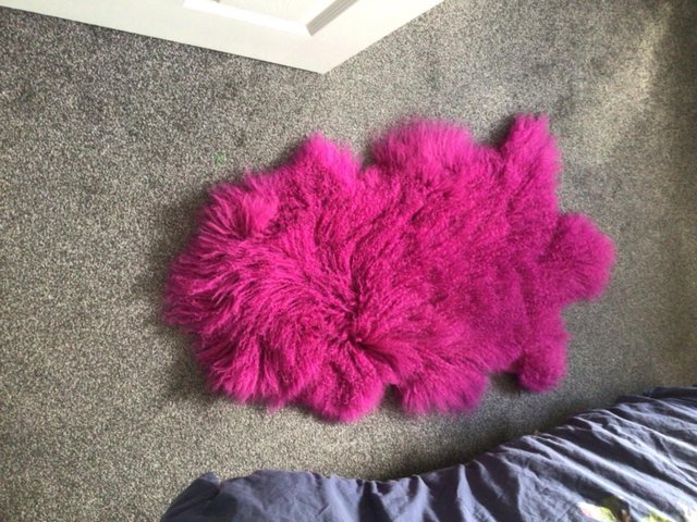 Preview of the first image of Bright pink curly Tibetan fur rug..