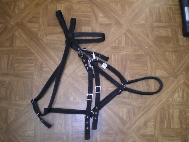 Preview of the first image of NEW Black Webbing Endurance Bridle and Reins, Full Size.