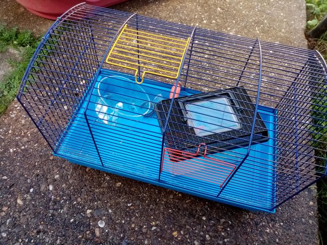 Preview of the first image of Hamster cage, carrier, wheel, bottle.