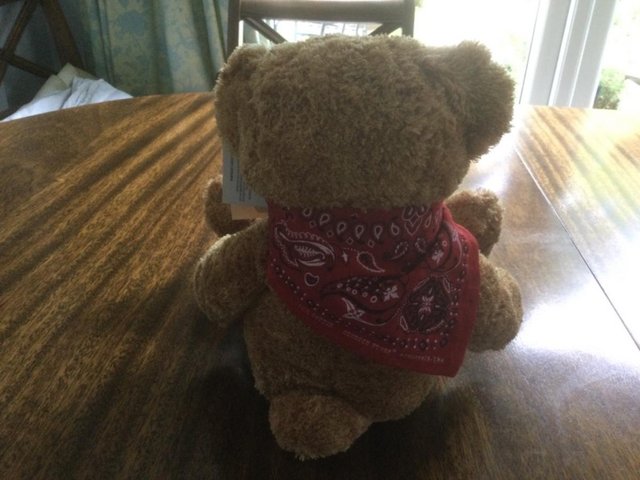 Image 2 of Vintage OshKosh Teddy Bear unused