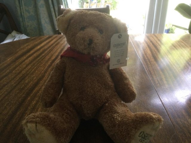 Preview of the first image of Vintage OshKosh Teddy Bear unused.