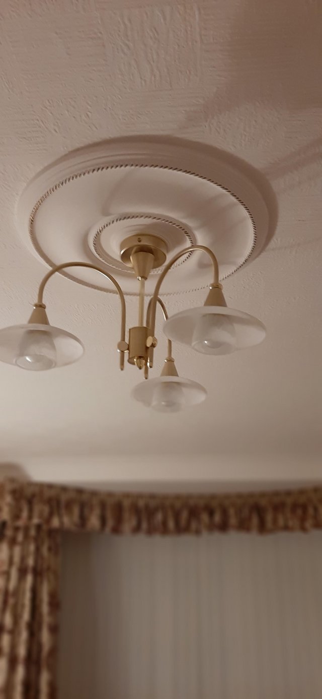 Preview of the first image of Centre Ceiling Light with Brass Arms.