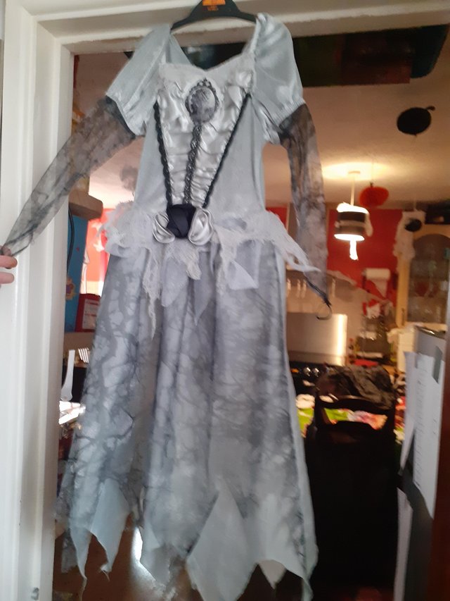 Image 3 of Girls halloween dresses with witches hat