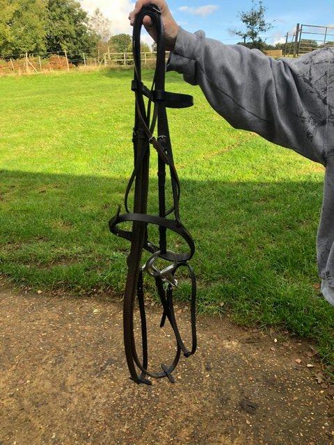 Image 16 of 19' Dark Brown and Burgundy Calcutt & Son's Saddle + Bridle