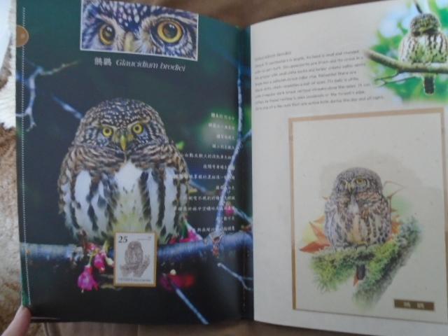 Image 3 of Owls of Taiwan Postage Stamp Pictorial