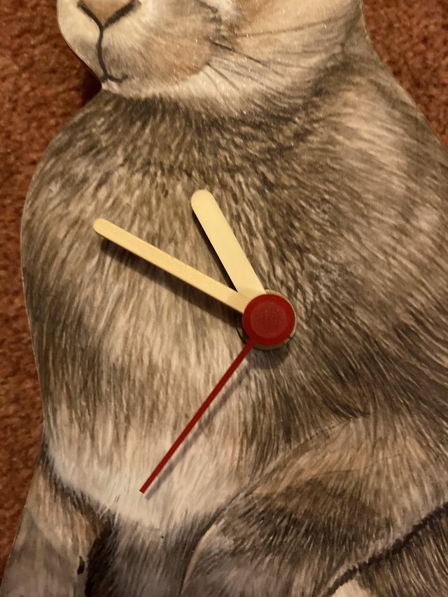 Image 7 of Rabbit/Guinea Pig wooden clocks