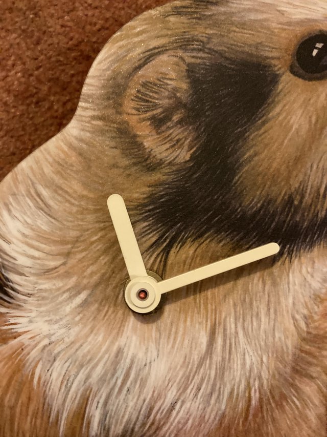 Image 10 of Rabbit/Guinea Pig wooden clocks