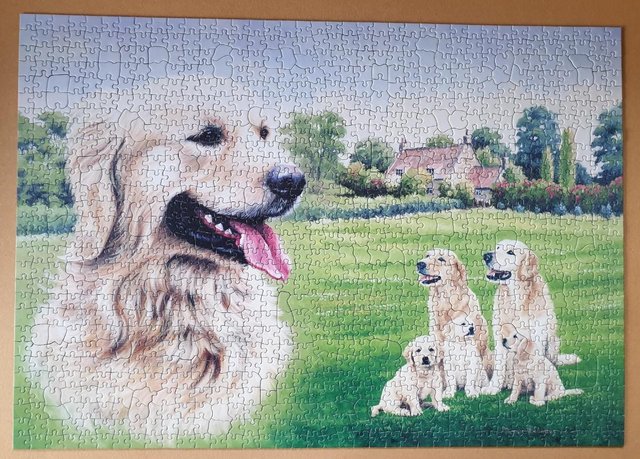 Image 2 of 1000 piece deluxe jigsaw called GOLDIE ,THE HOUSE of PUZZLES
