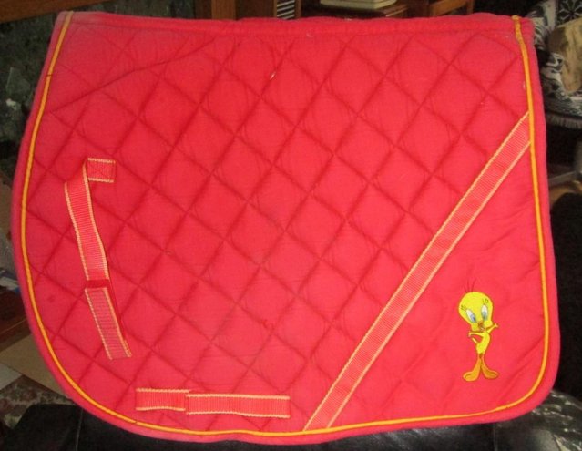 Preview of the first image of 2 x Used Saddle Pads (White & Red).