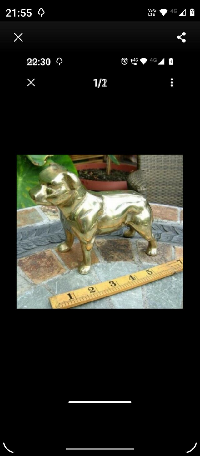 Preview of the first image of VERY HEAVY SOLID BRASS STAFFORD BULL TERRIER EXCELLENT CONDI.