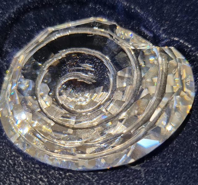 Image 12 of Swarovski crystal  Beautiful mixed shells of all sizes