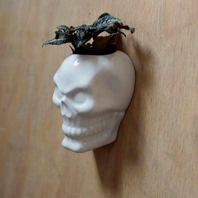 Preview of the first image of Decorative Ceramic Indoor Wall Planter - Skull.  Free Post.