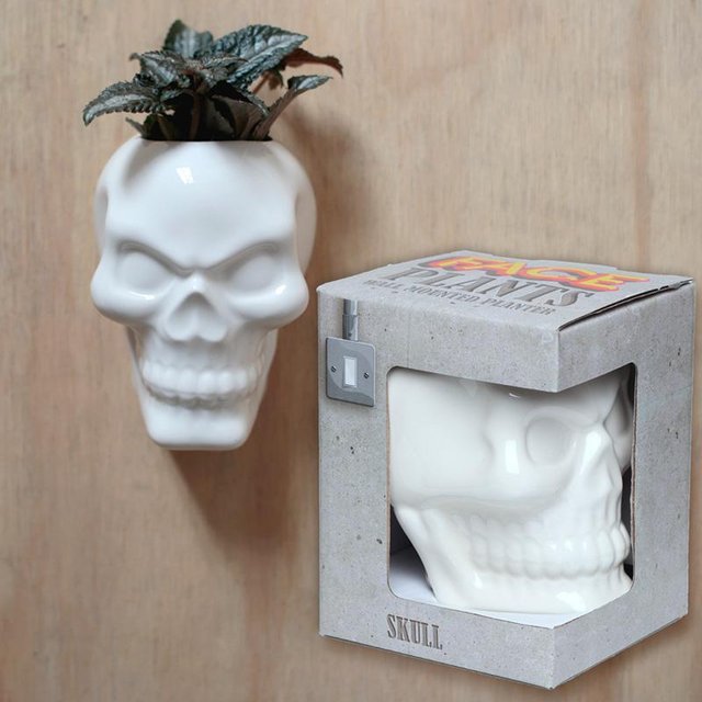 Image 2 of Decorative Ceramic Indoor Wall Planter - Skull.  Free Post