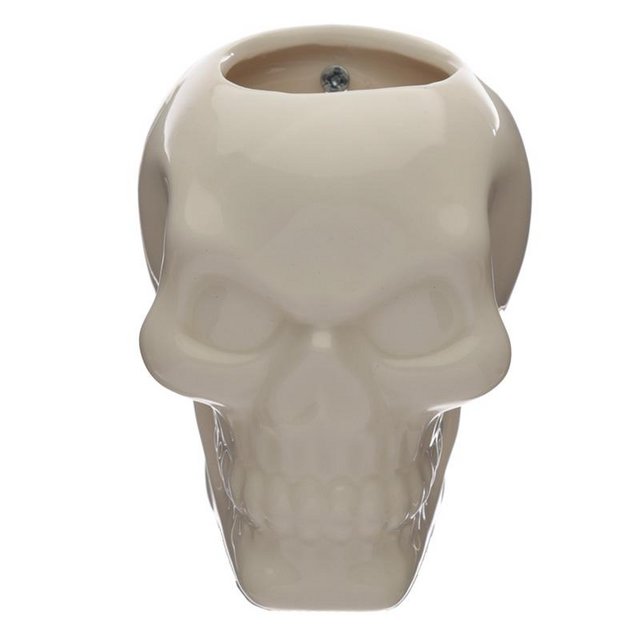 Image 3 of Decorative Ceramic Indoor Wall Planter - Skull.  Free Post