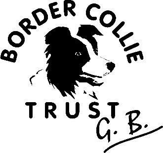 Preview of the first image of Border Collie Trust - rescuing and rehoming collies.
